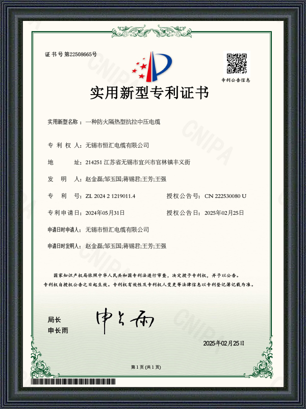 Deimhniú Paitinne Samhail Fóntais