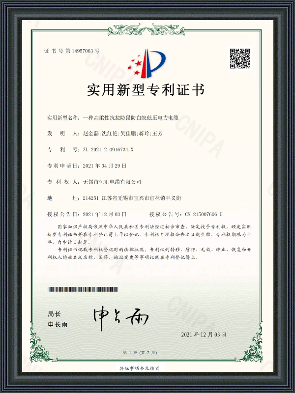 Deimhniú Paitinne Samhail Fóntais