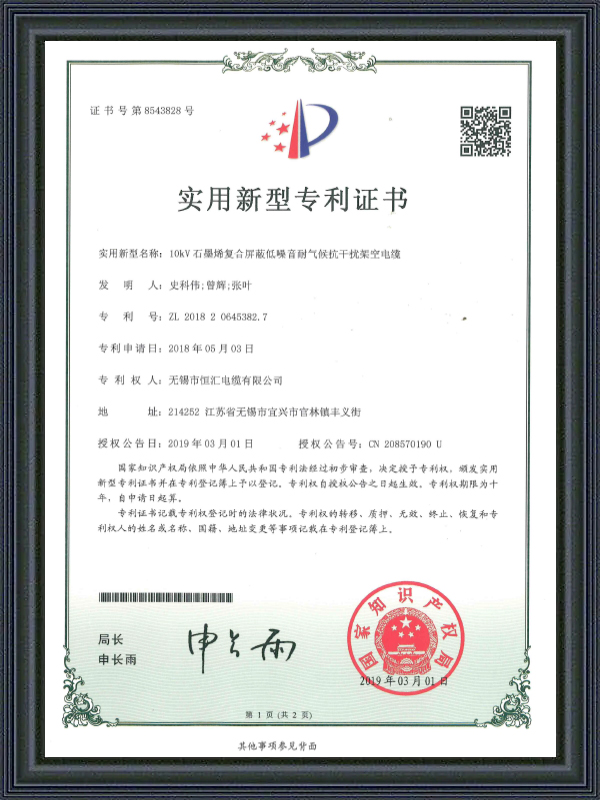 Deimhniú Paitinne Samhail Fóntais